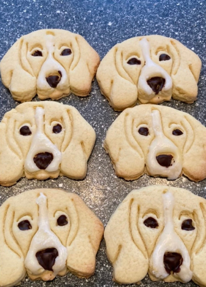 Ausstecher "Beagle"