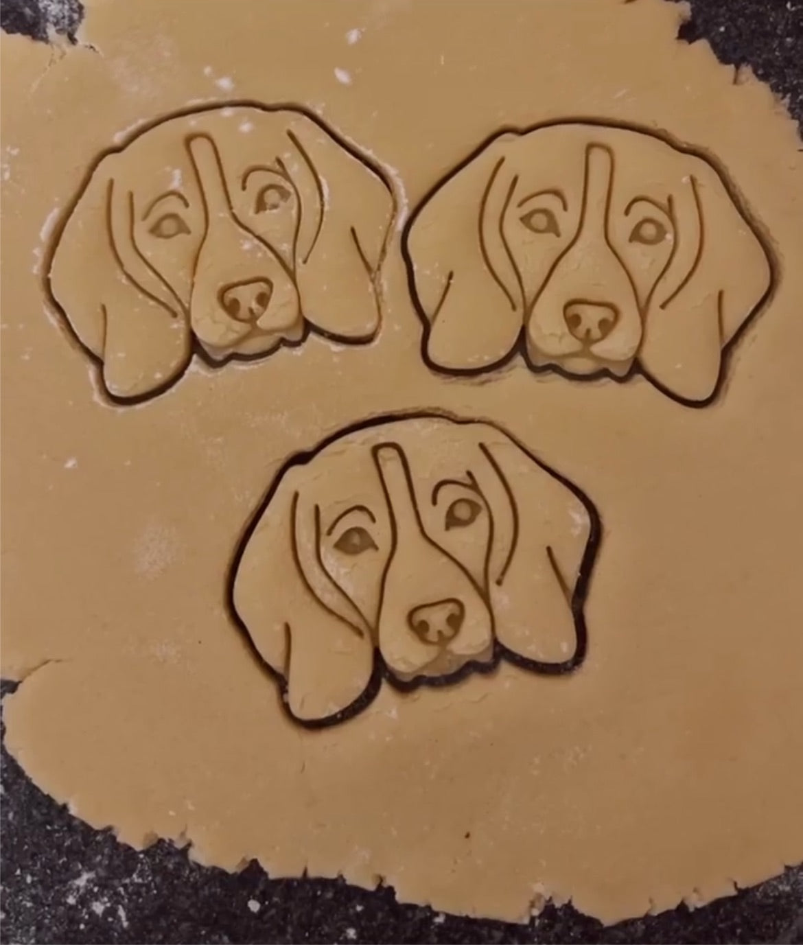 Ausstecher "Beagle"